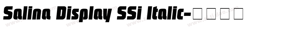 Salina Display SSi Italic字体转换